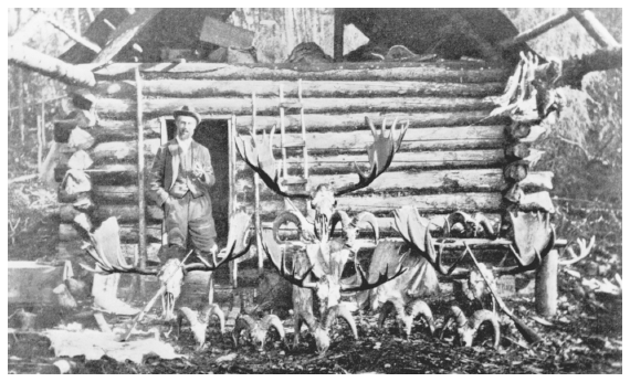 Image: English hunter Col. Claude Cane and trophies, Kenai Peninsula, 1902. In Claude Cane, Summer and Fall in Western Alaska, London: Horace Cox, 1903, frontispiece. A relatively accessible source of big game, the Kenai attracted some of the earliest sport hunters.