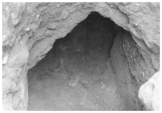 Image: 5.14. Vaulted roof of the main chamber of Tomb 6