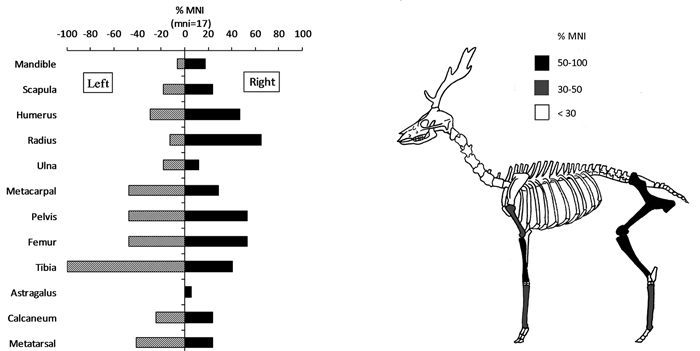 figure-c017.f006