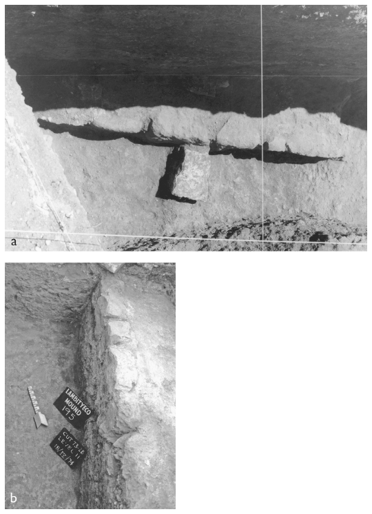 Image: 9.3. The walkway along the west side of Structure 195-3NE