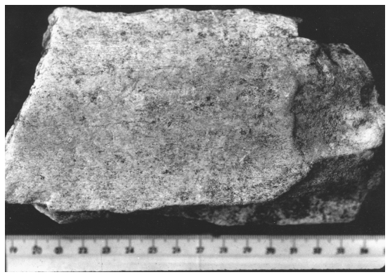 Image: FIGURE 7.4. Flaked elephant bone from Torralba