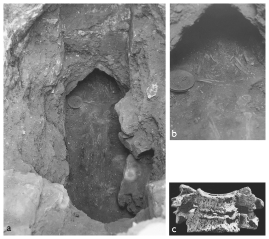 Image: 7.3. Burial 68-22, a female thirty-five to forty-five years old