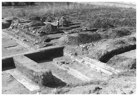 Image: 8.1. Trenches across the north platform of System 195