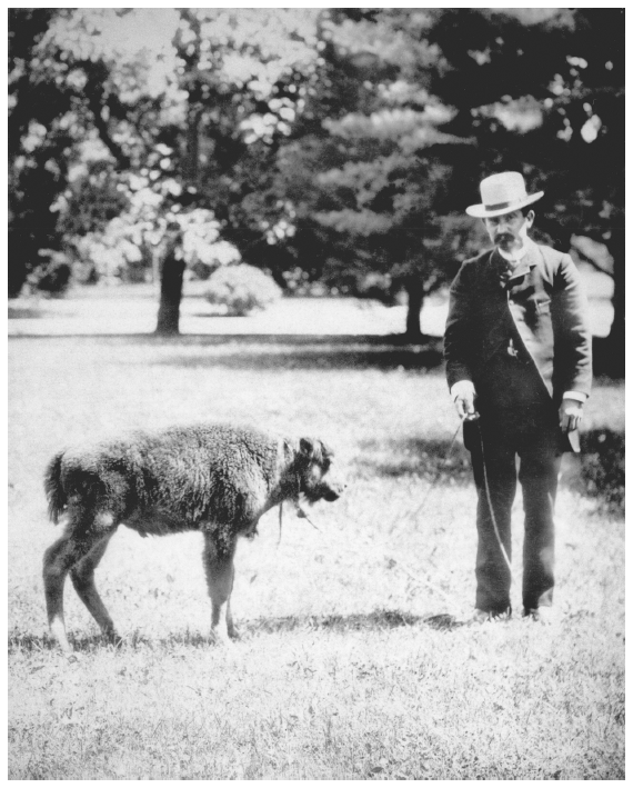 Image: William T. Hornaday and buffalo calf, Washington, DC, 1890. Smithsonian Archives. A prominent museum director and ardent conservationist, Hornaday pushed for wildlife protection laws in Alaska.