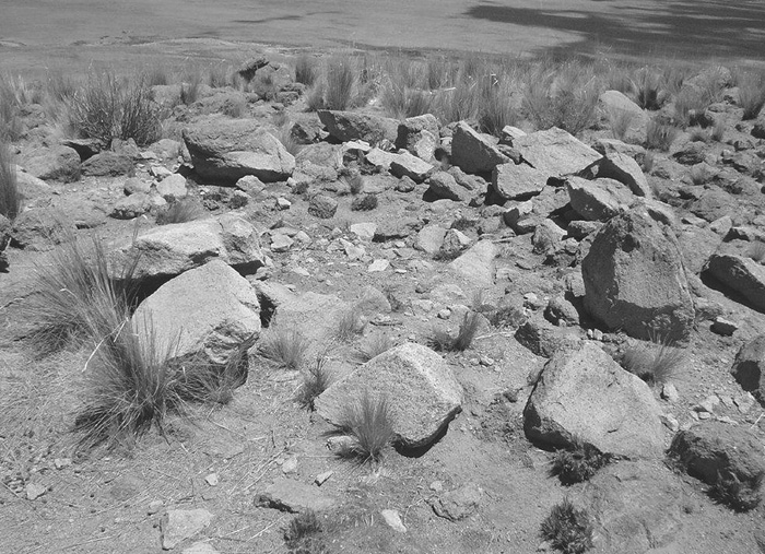 figure-c011.f006