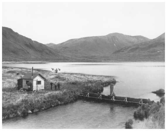 Image: Salmon counting weir, stream watcher’s cabin, and Fish and Wildlife Service patrol plane, Red River Lake outlet, Kodiak Island, 1950. By Frank L. Beals. FWS 970, Alaska Resources Library and Information Services. Aircraft measurably enhanced fisheries law enforcement.