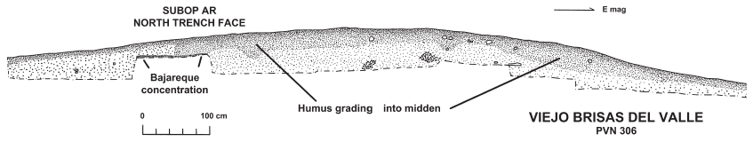 Image: FIGURE 3.18 Section through the Subop. 306AR/BL midden