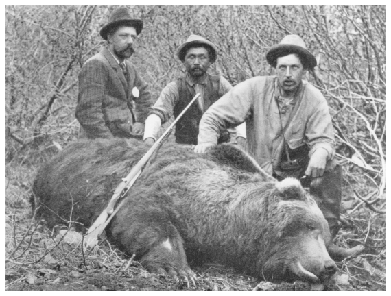 Image: English sport hunter Charles R.E. Radclyffe (left) and guides pose over record brown bear he shot, Kenai Peninsula, 1903. In C.R.E. Radclyffe, Big Game Shooting in Alaska, London: Rowland Ward, 1904, frontispiece. As hunting grounds in other parts of the world became exhausted, wealthy sportsmen turned their attention to Alaska in the 1890s. Commercial and sport hunting for heads, hides, or meat led to the Alaska game laws of 1902, 1908, and 1925.