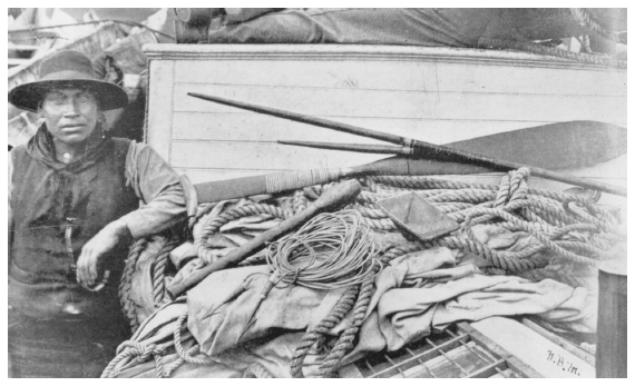 Image: Indian hunter and sealing gear on schooner Favorite, 1894. In U.S. Department of the Treasury, Seal and Salmon Fisheries and General Resources of Alaska, Vol. 4, Washington, DC: GPO, 1898, p. 473. Skilled coastal Indians and white hunters greatly reduced fur seal herds by hunting at sea. The Favorite began a long sealing career out of Victoria in 1873.