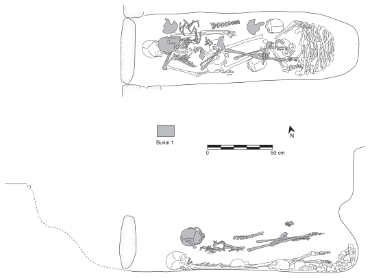 Image: 8.4. Plan and profile of the human skeletal remains in Tomb 3