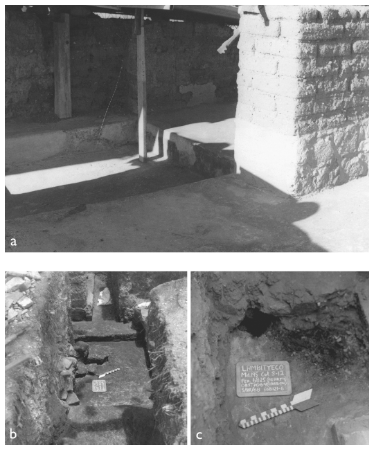 Image: 6.5. Southeast corner room of Structure 195-3SE