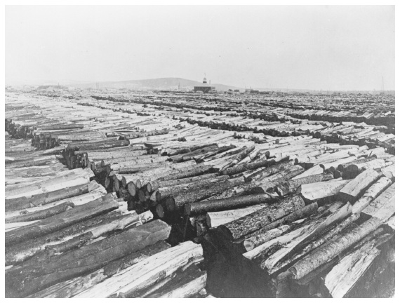 Image: Wood yard at Tanana River Railway, ca. 1905–1910. Cole coll. 76-38-20, University of Alaska Fairbanks, Alaska and Polar Regions Archives. The railroad burned wood in its locomotives, used it for railroad ties, and delivered it to mining sites. Added to forest fires, the use of wood for mining, steamboats, railroads, heating, and power generation stripped many hills and valleys of trees.