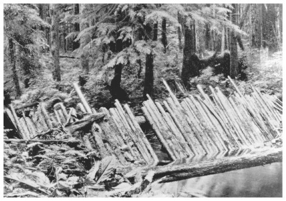 Image: Dam on salmon stream, Helm Bay, ca. 1898. In Jefferson B. Moser, The Salmon and Salmon Fisheries of Alaska, Washington, DC: GPO, 1899, plate 10. Early commercial fishers blocked streams to maximize their catch, damaging salmon populations in the process.