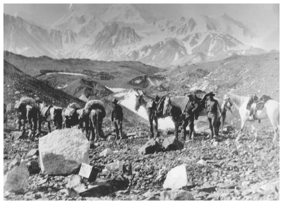 Image: Tourist party crossing moraine of Muldrow Glacier, 1927. RG 79G Box 11, National Archives at College Park. From a trickle in the 1920s, park visitors multiplied to hundreds of thousands by the end of the century.