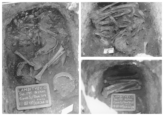 Image: 8.5. Burials 3–5 in Tomb 3