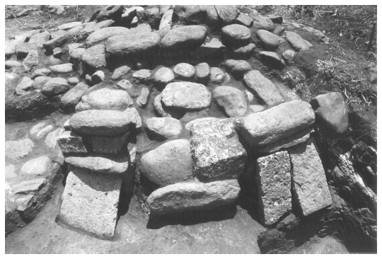 Image: FIGURE 3.11 Structure 306-19, photograph showing the exposed terminus of one of the building’s projecting spokes