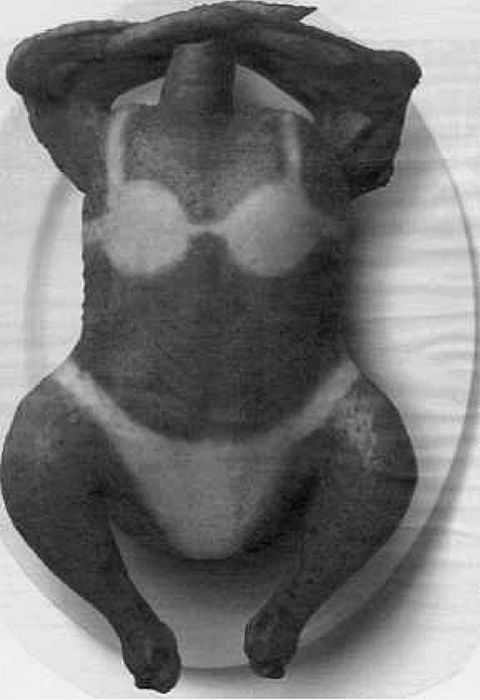 figure-c008.f003