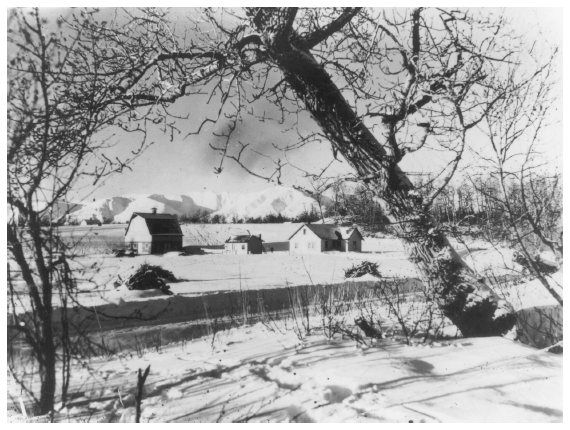 Image: Matanuska Colony farm, Palmer, 1937. Drawbaugh coll. 89-128-151, University of Alaska Fairbanks, Alaska and Polar Regions Archives. Agriculture made limited inroads into wildlife habitat because of cold, unsuitable soils, and transportation costs.