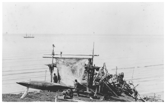 Image: Eskimo whaling station, Cape Prince of Wales, 1891 or 1892; revenue cutter Bear offshore. Bear coll. 89-193-116, University of Alaska Fairbanks, Alaska and Polar Regions Archives. Some Natives operated their own shore-based stations, selling the whales or baleen to whaling ships.