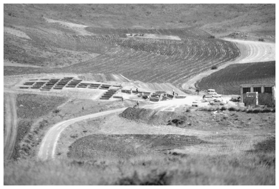 Image: FIGURE 7.2. Ambrona, overview (from north) of area opened in 1981; standing walls separate excavated three-meter squares; on-site museum at right