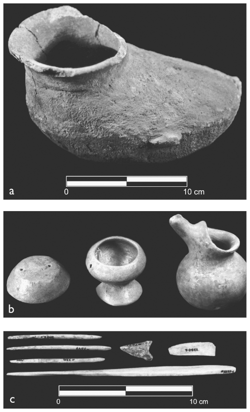 Image: 7.20. Patojo, Fine Orange vessels, and bone implements from Tomb 6