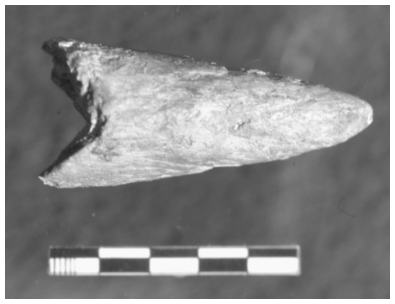 Image: FIGURE 7.5. Flaked juvenile tusk tip from Ambrona (possible point)