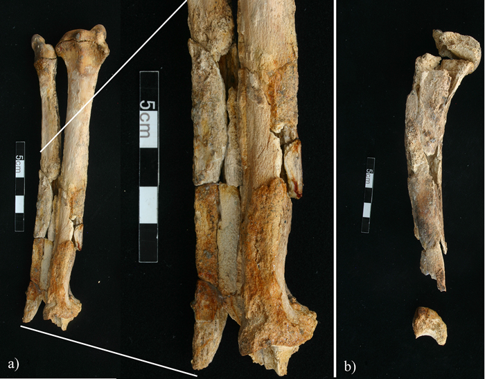 figure-c001.f004