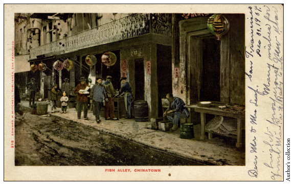 Image: Fig. 5-3. In this postcard mailed in 1905, Fish Alley in San Francisco’s Chinatown offered a glimpse of the exotic in this part of the city.