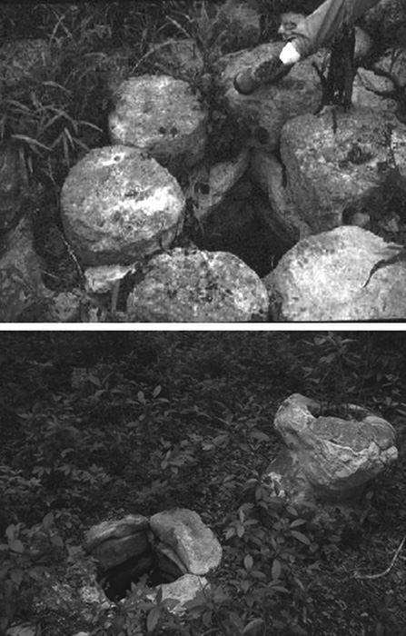 figure-c007.f001