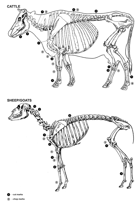 figure-c009.f005