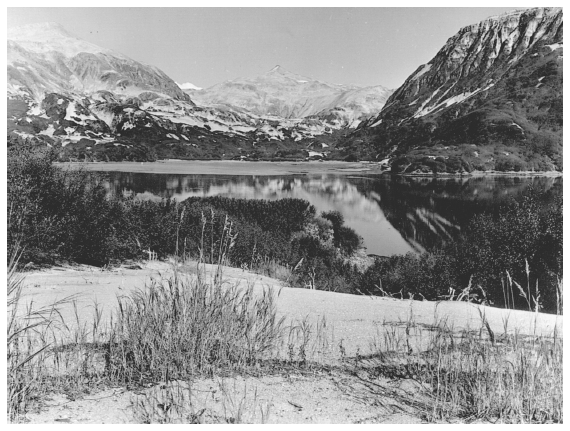 Image: Looking north across head of Geographic Harbor, 1940. By Victor B. Scheffer. RG 79G Box 9, National Archives at College Park. Snowy Mountain at upper left. Vegetation has risen through the ashfall in many places.