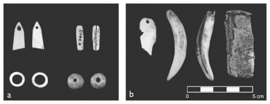 Image: 7.19. Shell, bone, stone, and bark ornaments from Tomb 6