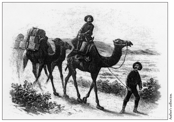 Image: Fig. 2-4. As suggested by this illustration of “Camels in Nevada,” which appeared in Harper’s Weekly in 1877, the importation of these “ships of the desert” helped impart an Old World character to the arid American West.