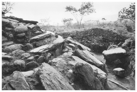 Image: FIGURE 3.8 Structure 306-17, photograph of the northern steps and bordering terraces