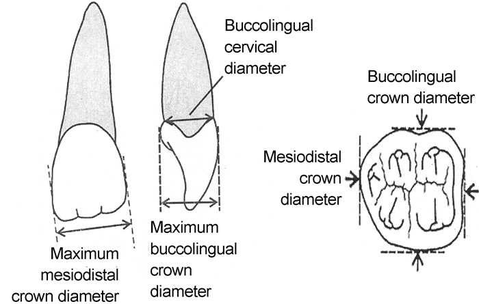 figure-c010.f001