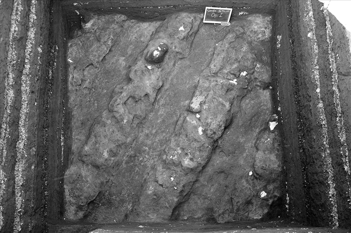 figure-c005.f003