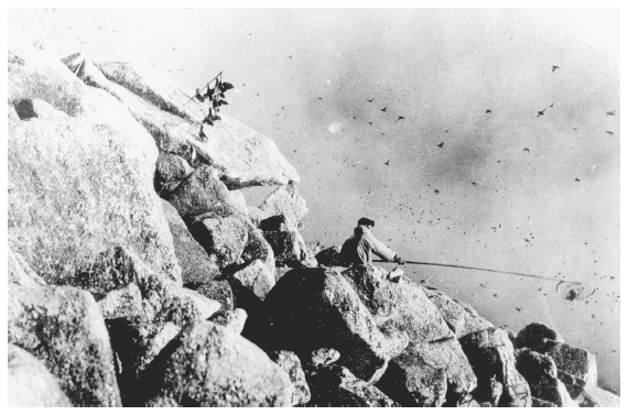 Image: Inupiat Eskimo boy netting auklets, Little Diomede Island, 1930s. Keys coll. 88-174-113, University of Alaska Fairbanks, Alaska and Polar Regions Archives. Low technology and, possibly, a conservation ethic prevented extinction of most wildlife species before the arrival of Europeans.