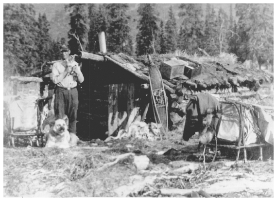 Image: Former market hunter’s cabin used by park rangers for night shelter, 1926. RG 79G Box 11, National Archives at College Park. Commercial hunting threatened wildlife populations, especially as railroad construction neared the park. Park status prohibited sport hunting, and the Park Service banned all hunting in 1928.