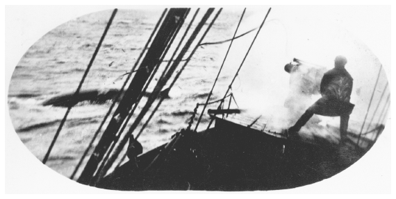 Image: Harpoon gunner striking finback whale near Akutan. Core coll. 01-2928, Alaska State Library. Steam- or gasoline-driven ships and harpoon guns enabled whalers to kill the faster blue, finback, sei, and humpback whales.