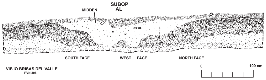 Image: FIGURE 3.16 Section through the Subop. 306AL/BQ midden