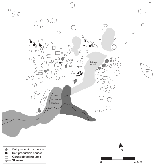 Image: 3.2. Xoo phase salt production at Lambityeco